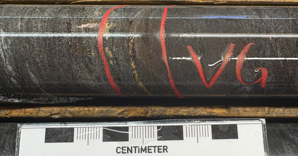 image 2 West Red Lake Gold Adding Confidence to Rowan Mine Resource and Extending Vein Zones
