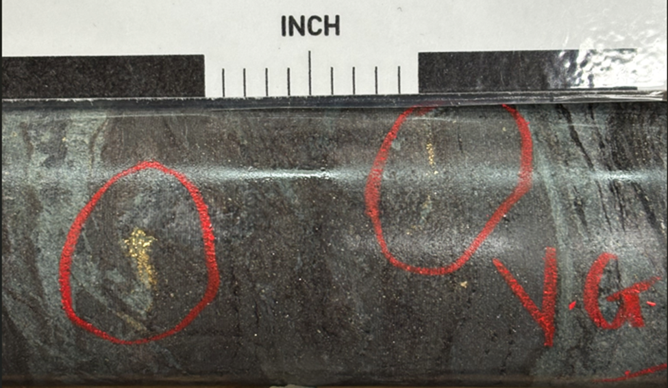 image 3 West Red Lake Gold Adding Confidence to Rowan Mine Resource and Extending Vein Zones