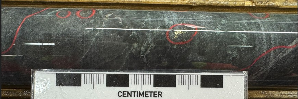 image 5 West Red Lake Gold Adding Confidence to Rowan Mine Resource and Extending Vein Zones