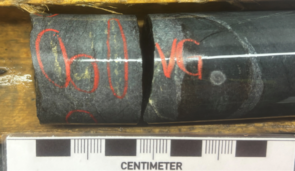 image West Red Lake Gold Reports 43.38 g/t Au over 3.85m, 53.87 g/t Au over 3.1m and 10.22 g/t Au over 13.35m from Austin 955 and 904 Complexes – Madsen Mine
