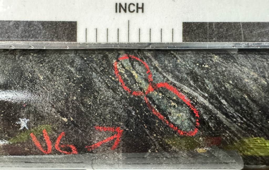 image 4 West Red Lake Gold Reports 43.38 g/t Au over 3.85m, 53.87 g/t Au over 3.1m and 10.22 g/t Au over 13.35m from Austin 955 and 904 Complexes – Madsen Mine
